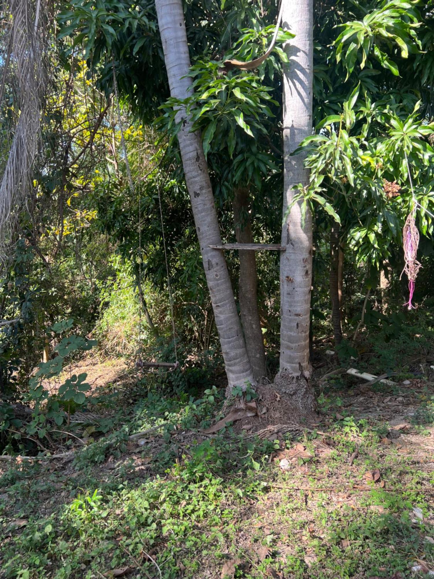 Hotel Ceres - Leao Da Montanha 14 Cuiabá Kültér fotó